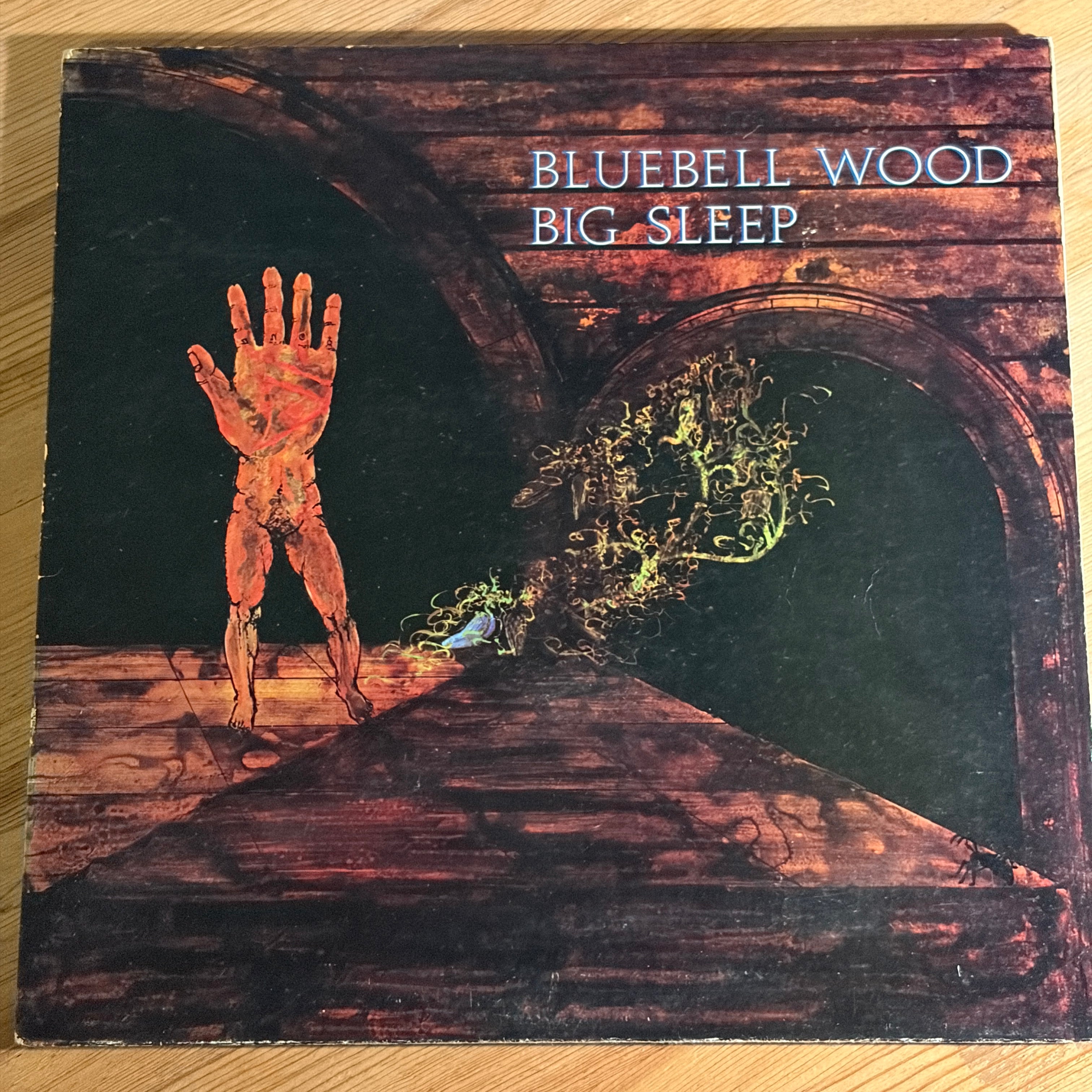 BIG SLEEP - BLUEBELL WOOD