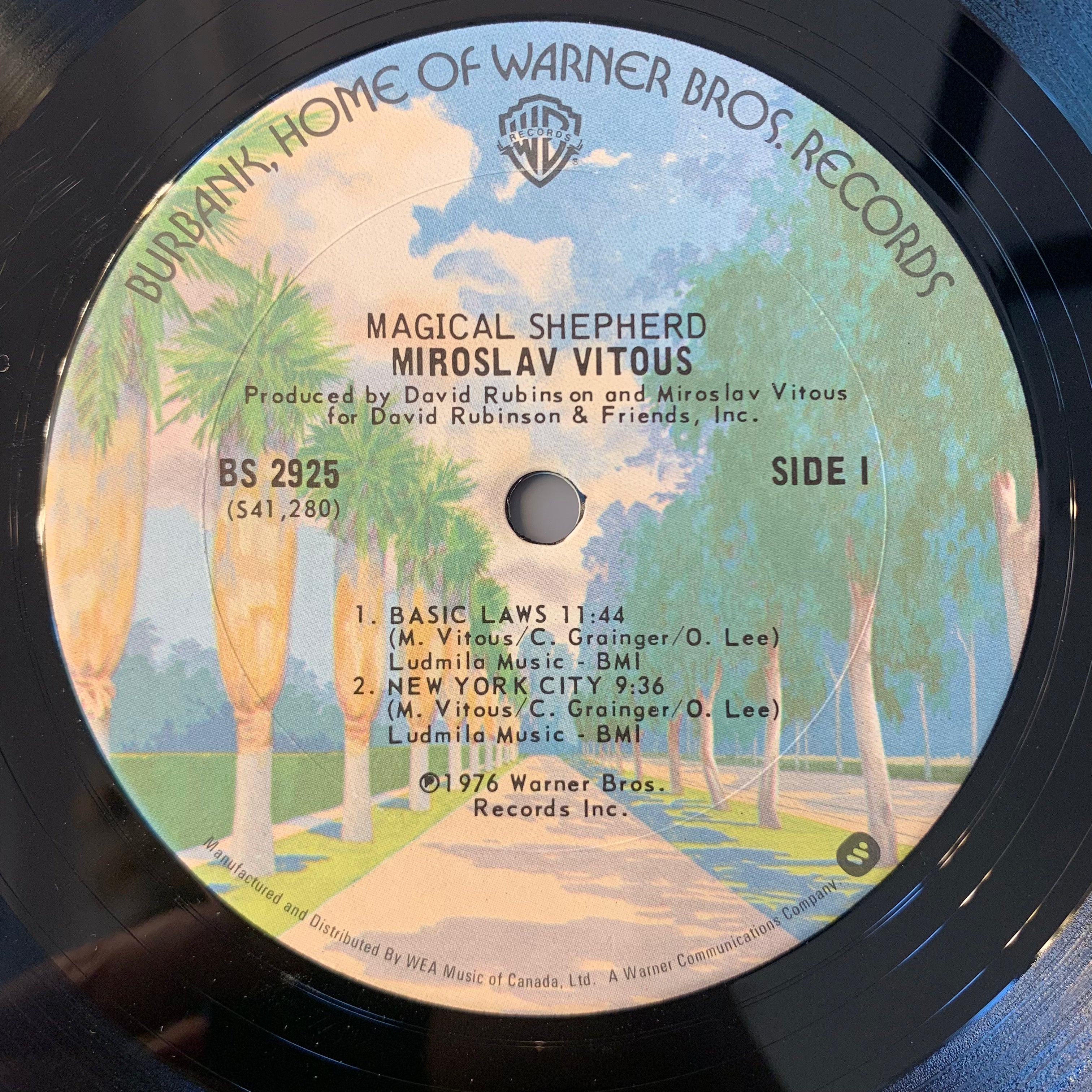 VITOUS, MIROSLAV - MAGICAL SHEPHERD