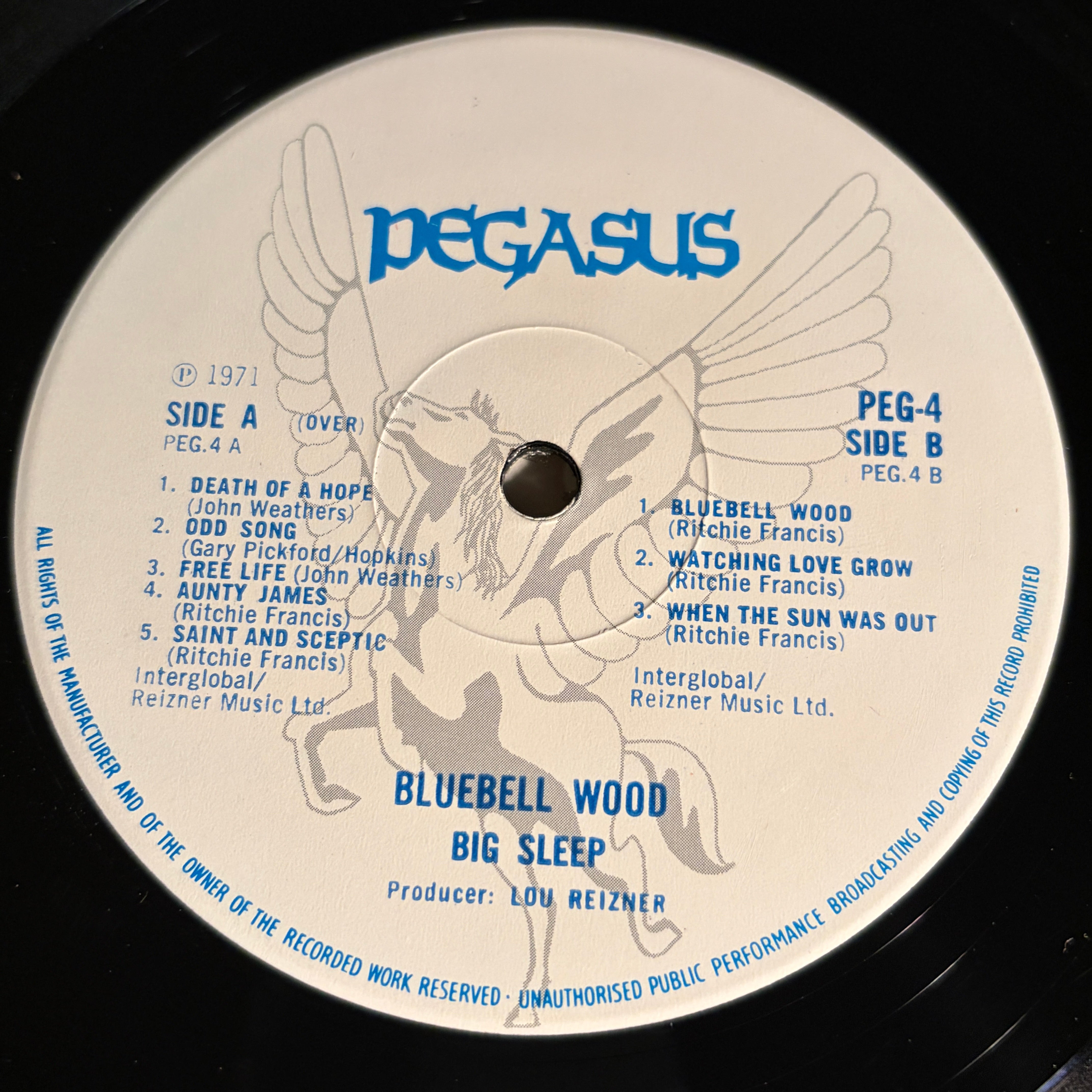 BIG SLEEP - BLUEBELL WOOD