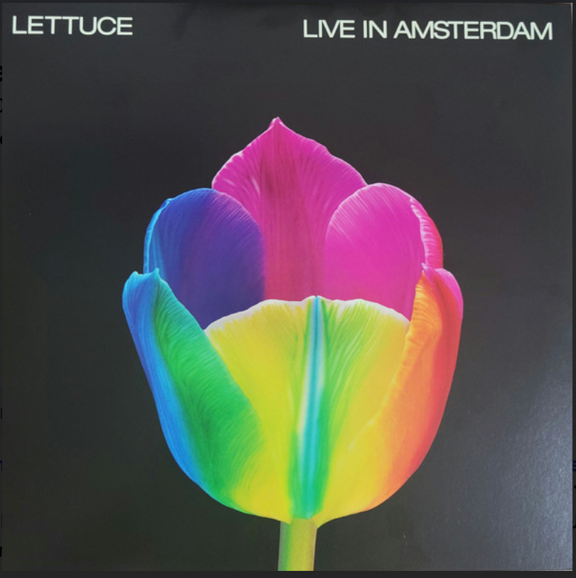 LETTUCE - LIVE IN AMSTERDAM