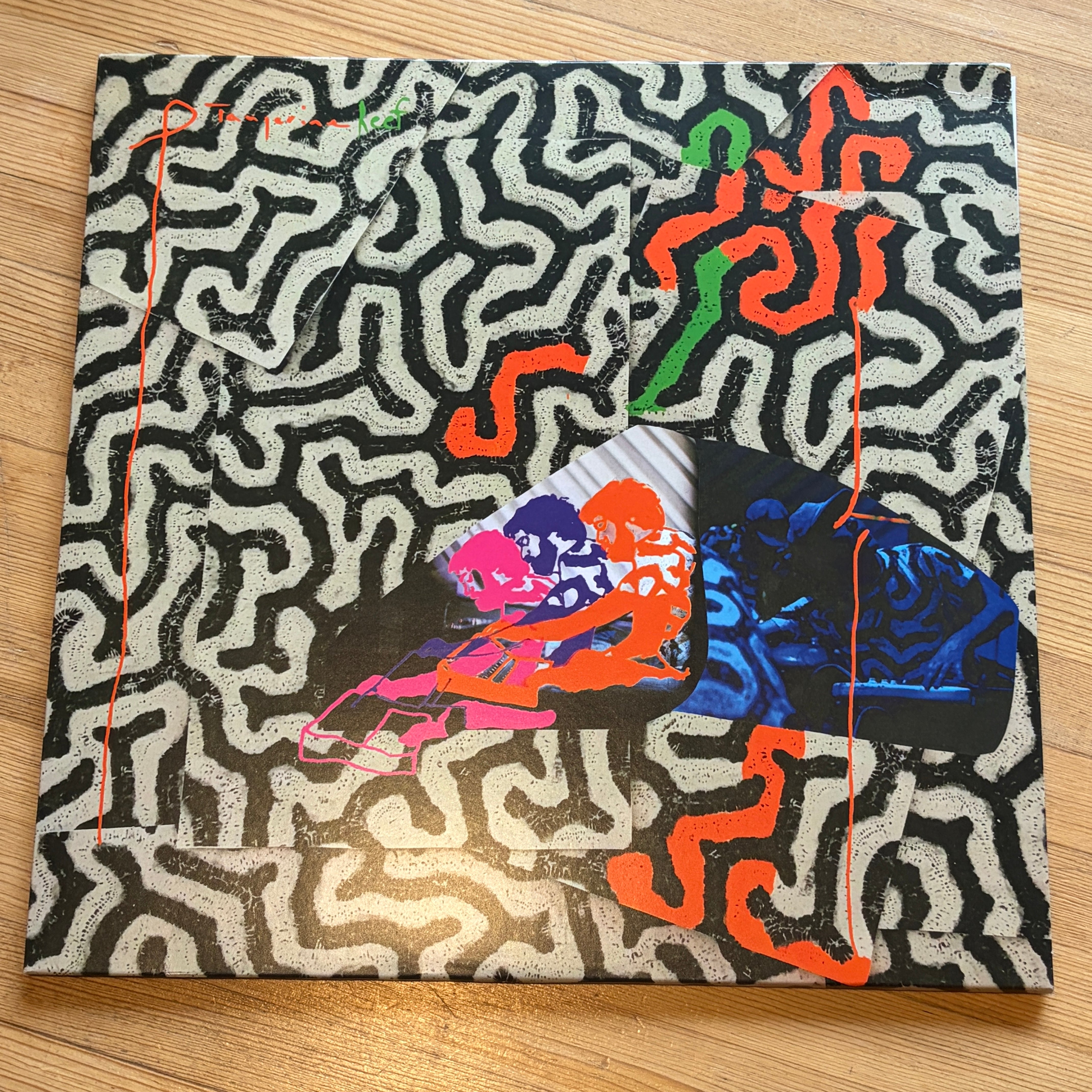 ANIMAL COLLECTIVE - TANGERINE REEF