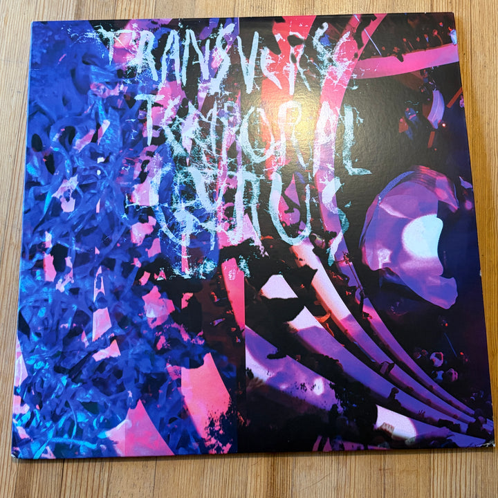 ANIMAL COLLECTIVE - TRANSVERSE TEMPORAL GURUS