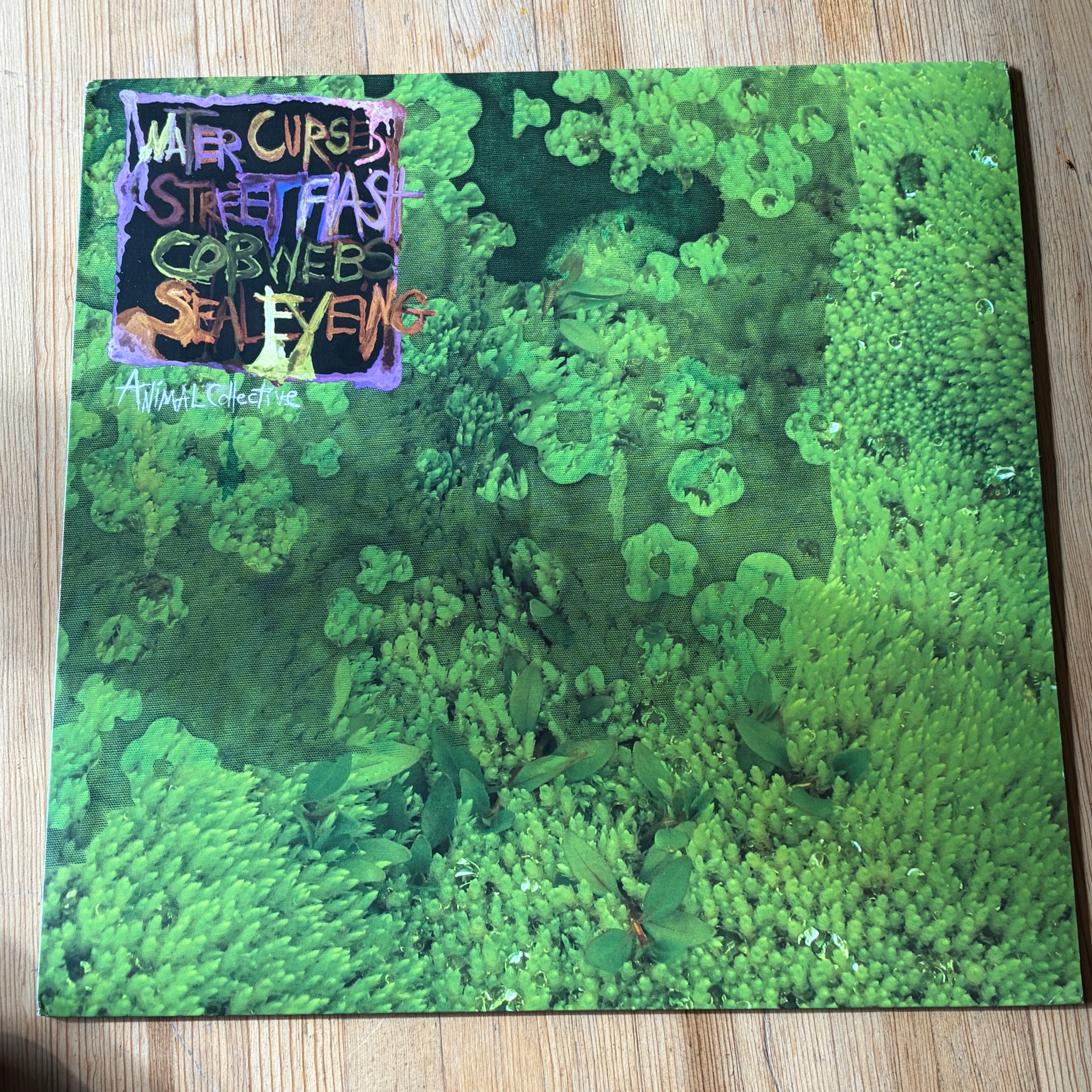 ANIMAL COLLECTIVE - WATER CURSES