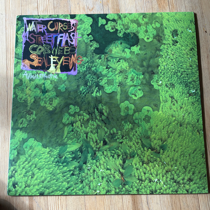 ANIMAL COLLECTIVE - WATER CURSES