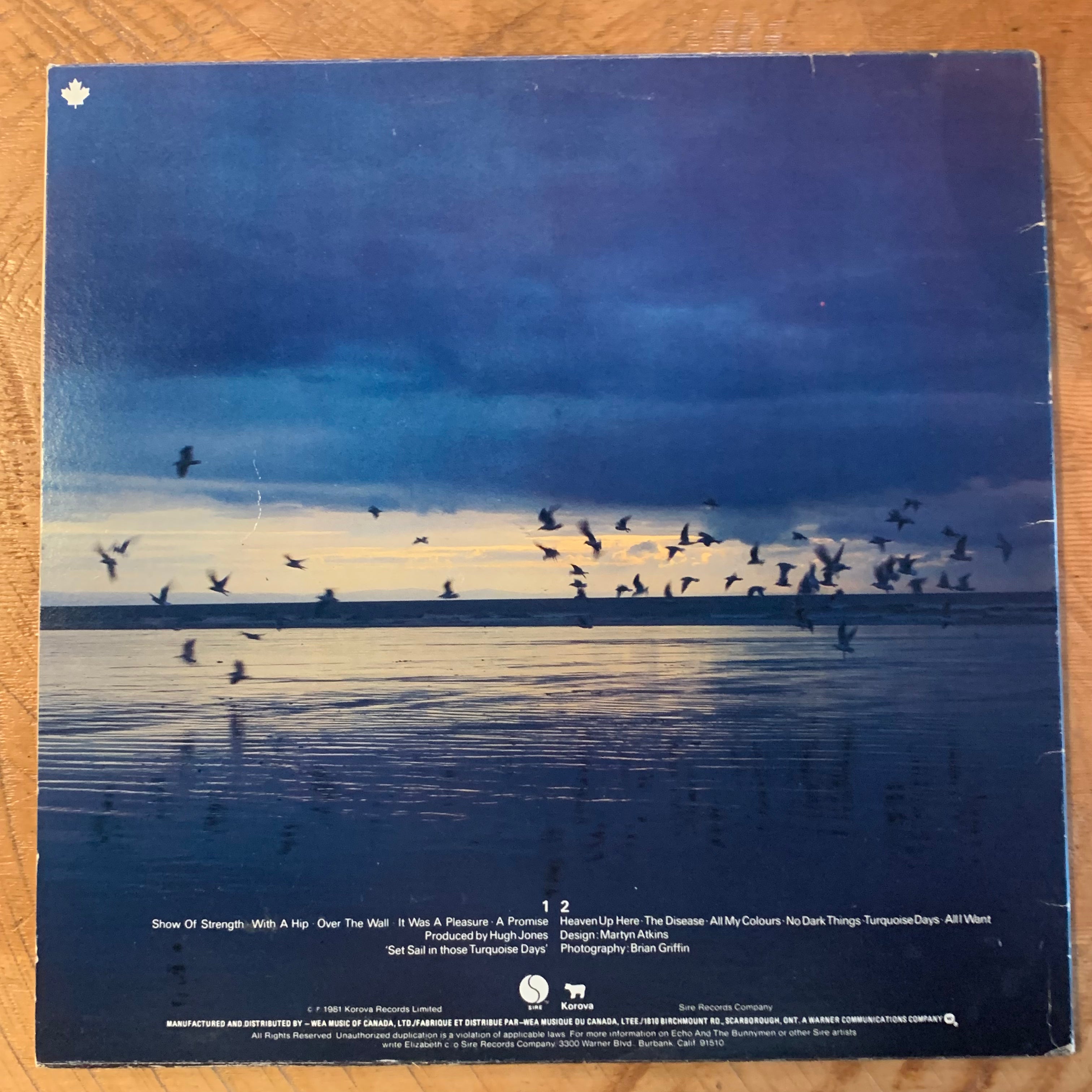 ECHO AND THE BUNNYMEN - HEAVEN UP HERE