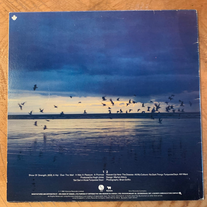 ECHO AND THE BUNNYMEN - HEAVEN UP HERE