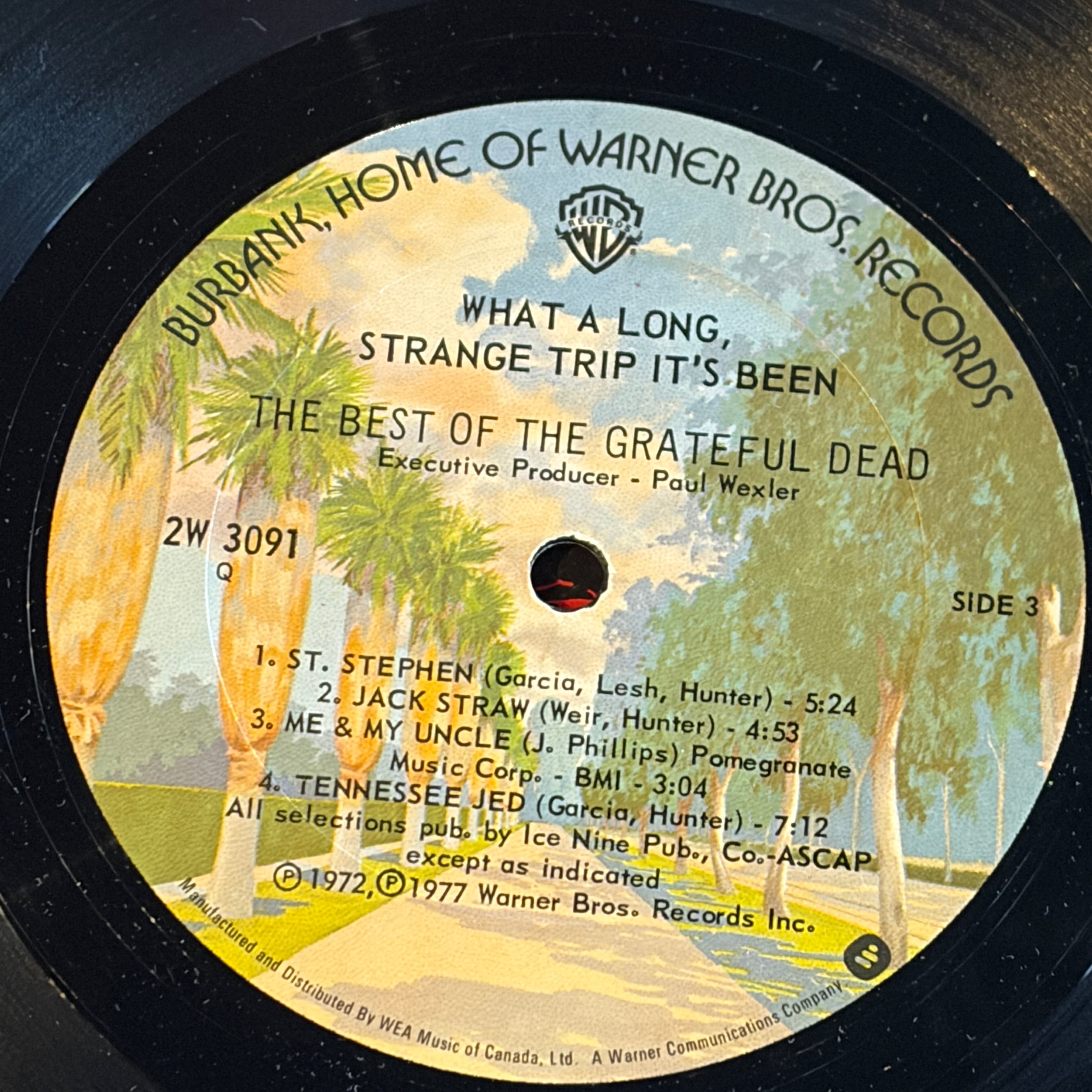 GRATEFUL DEAD - WHAT A LONG STRANGE TRIP IT'S BEEN