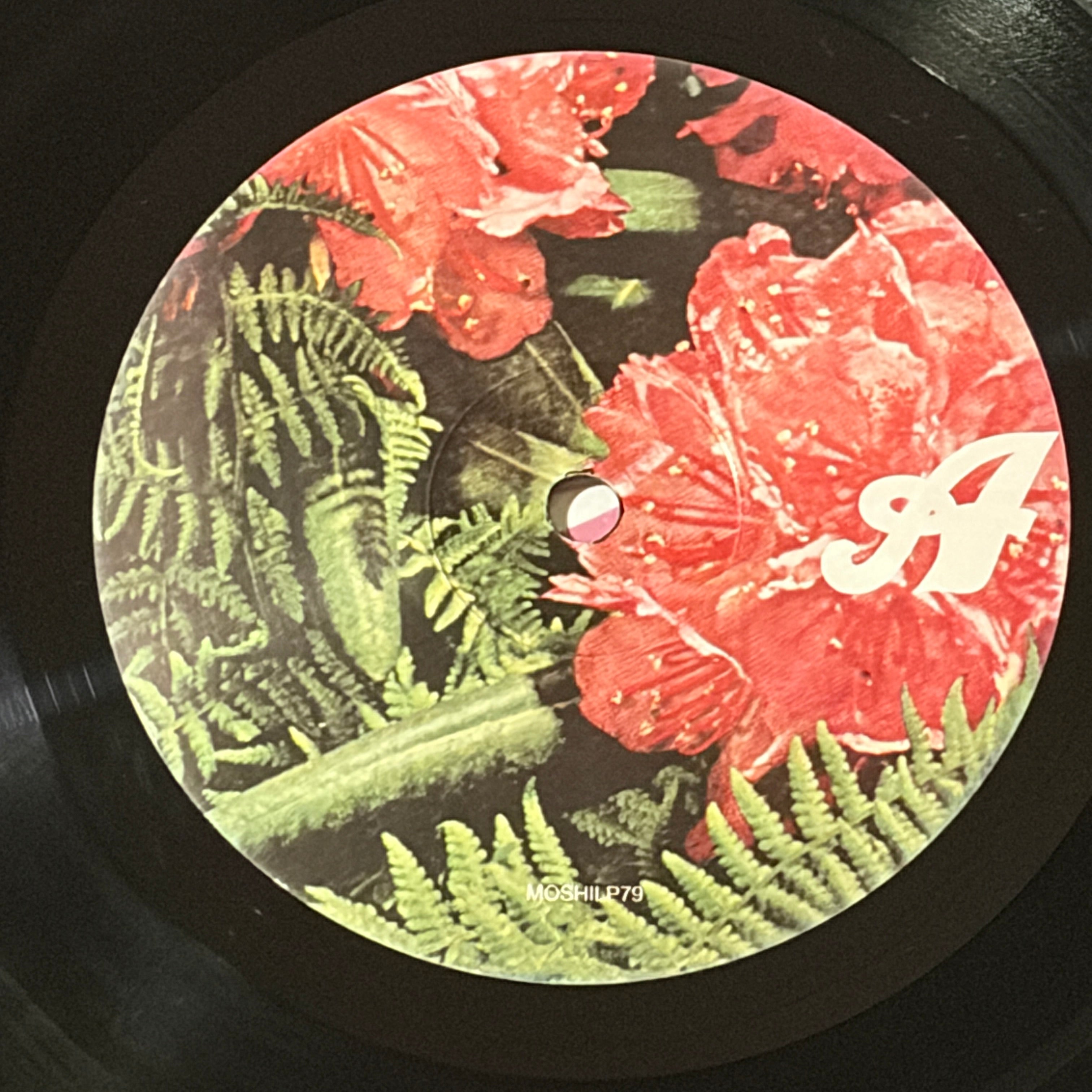 SURFING MAGAZINES, THE - S/T