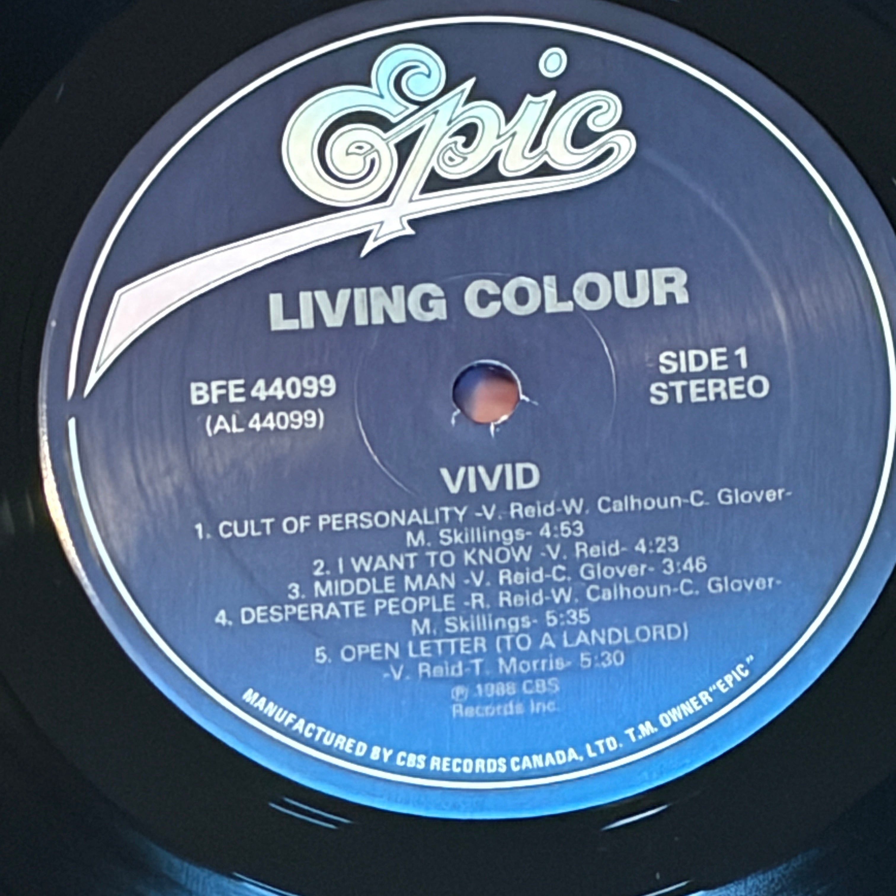 LIVING COLOUR - VIVID