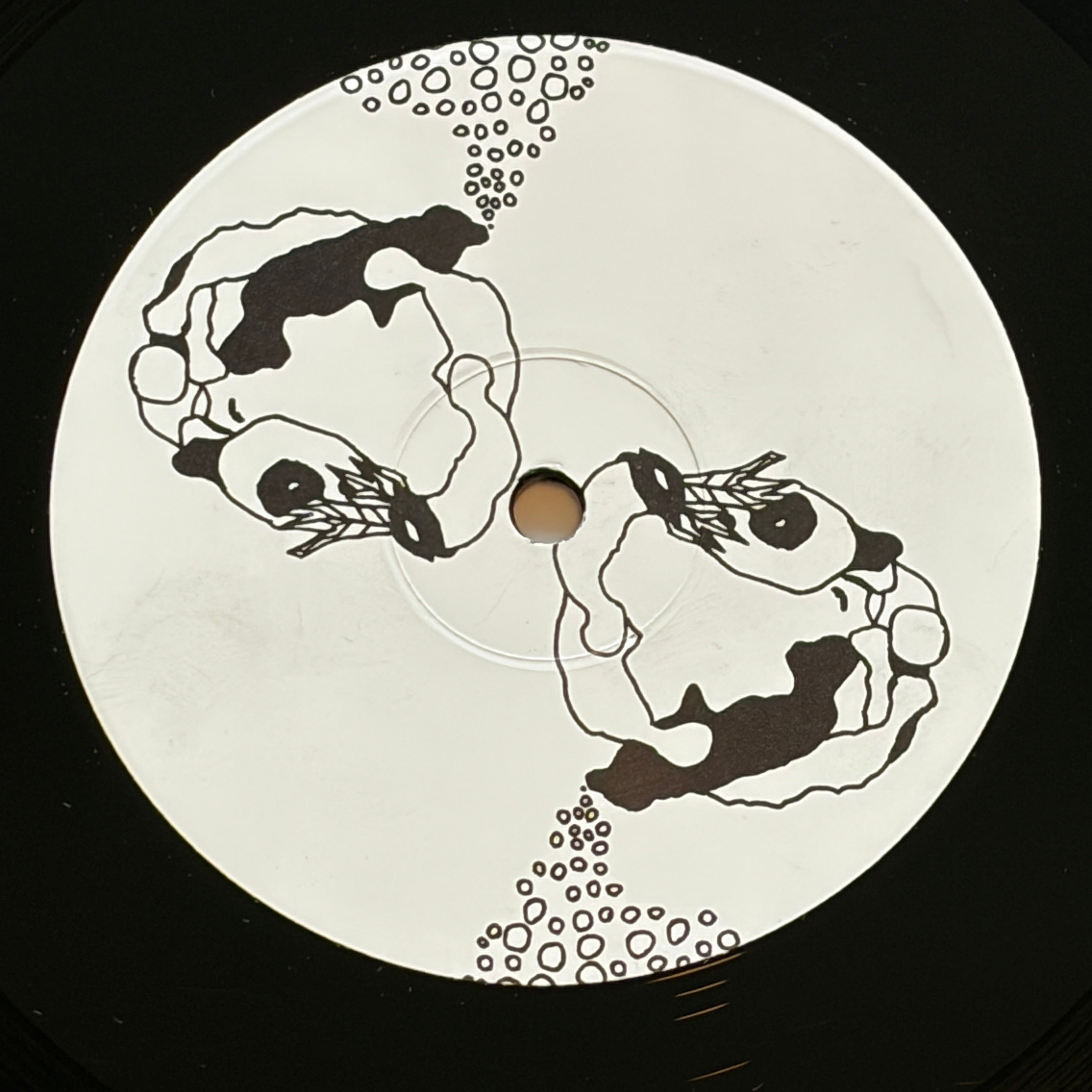 ANIMAL COLLECTIVE - DANSE MANATEE
