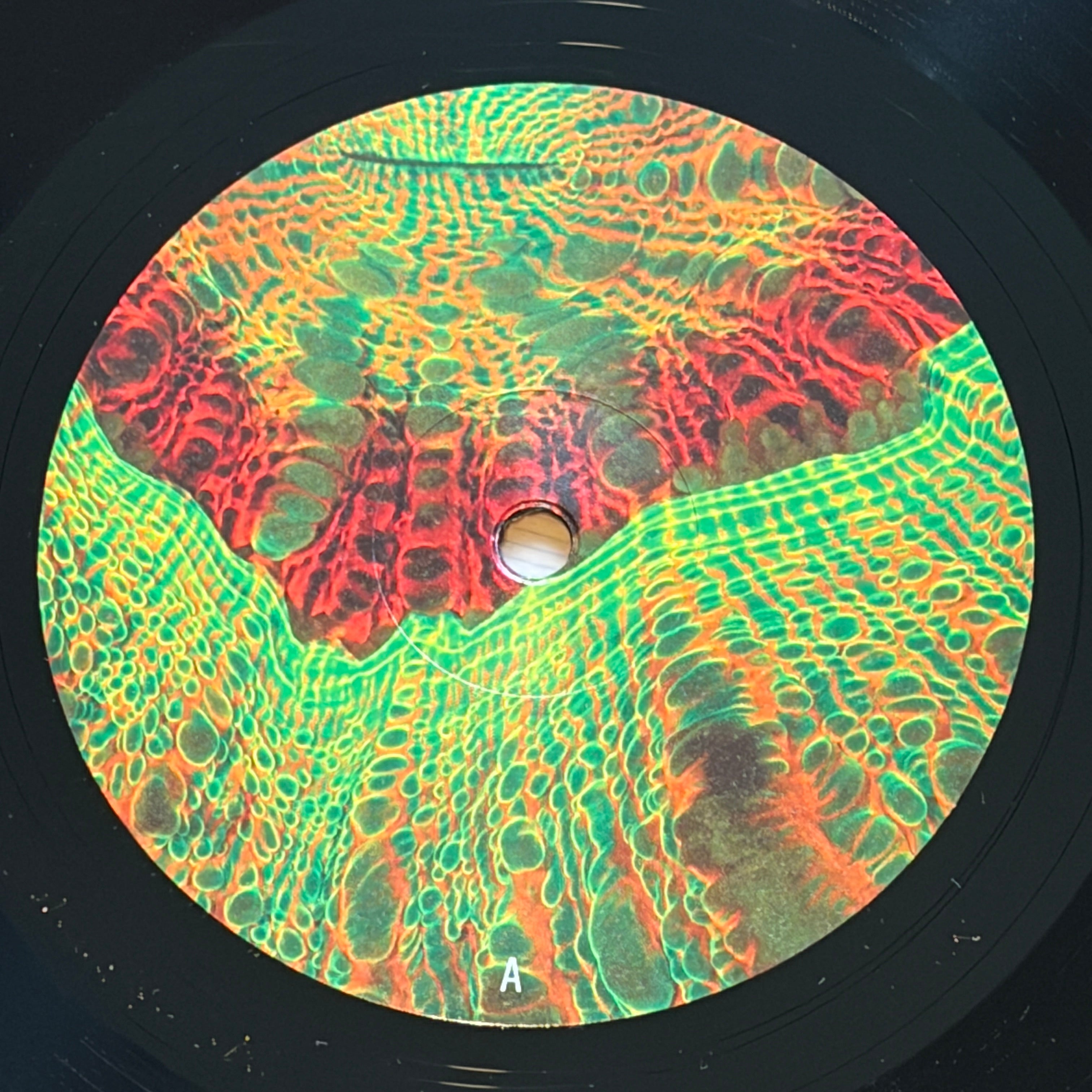 ANIMAL COLLECTIVE - TANGERINE REEF