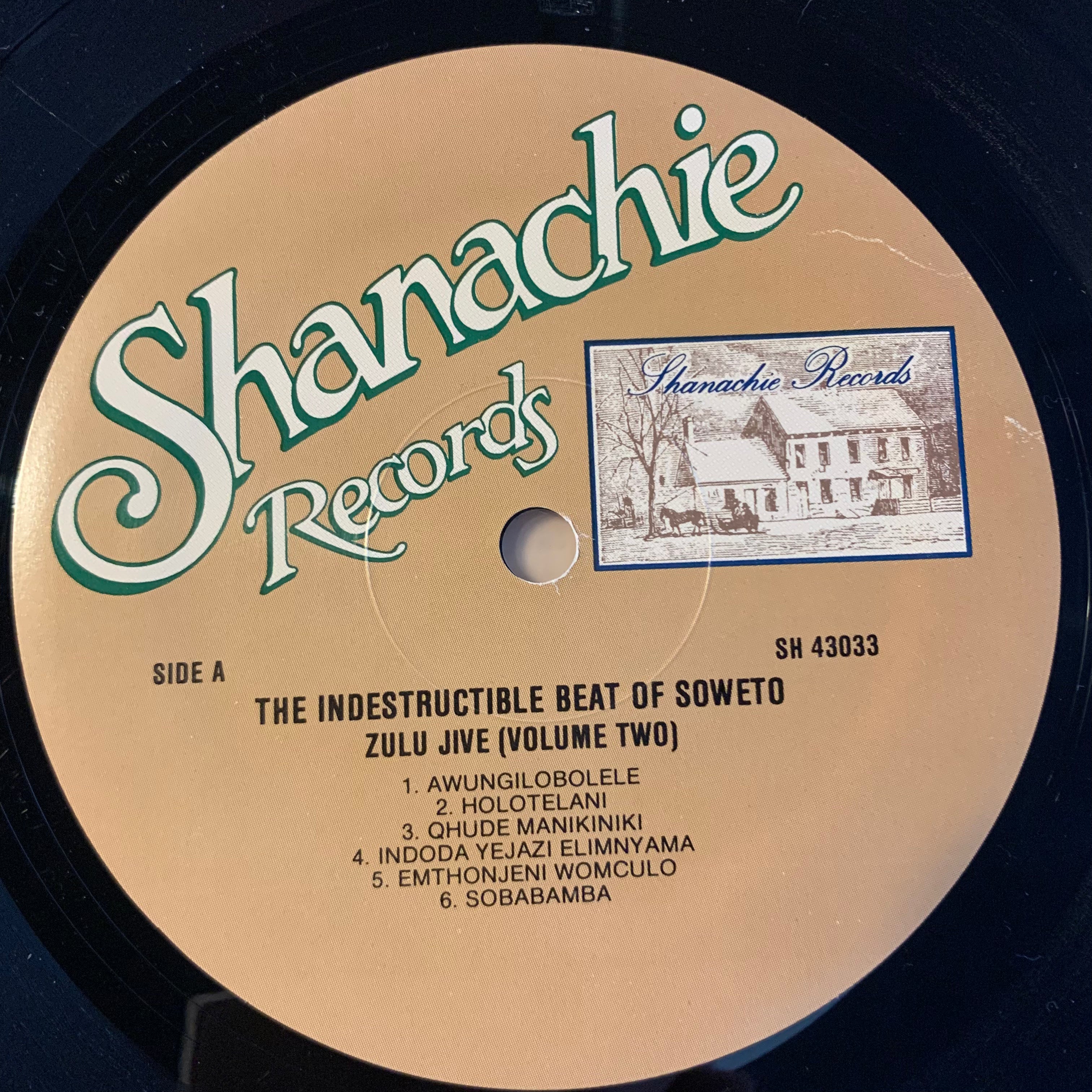THE INDESTRUCTIBLE BEAT OF SOWETO