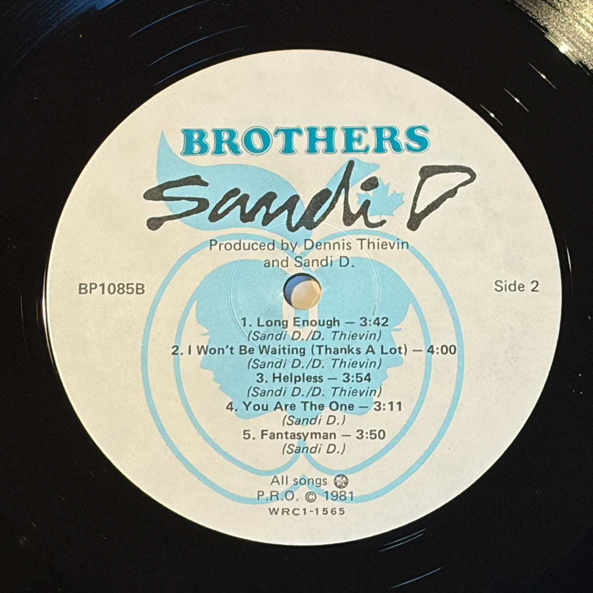 SANDI D. - S/T