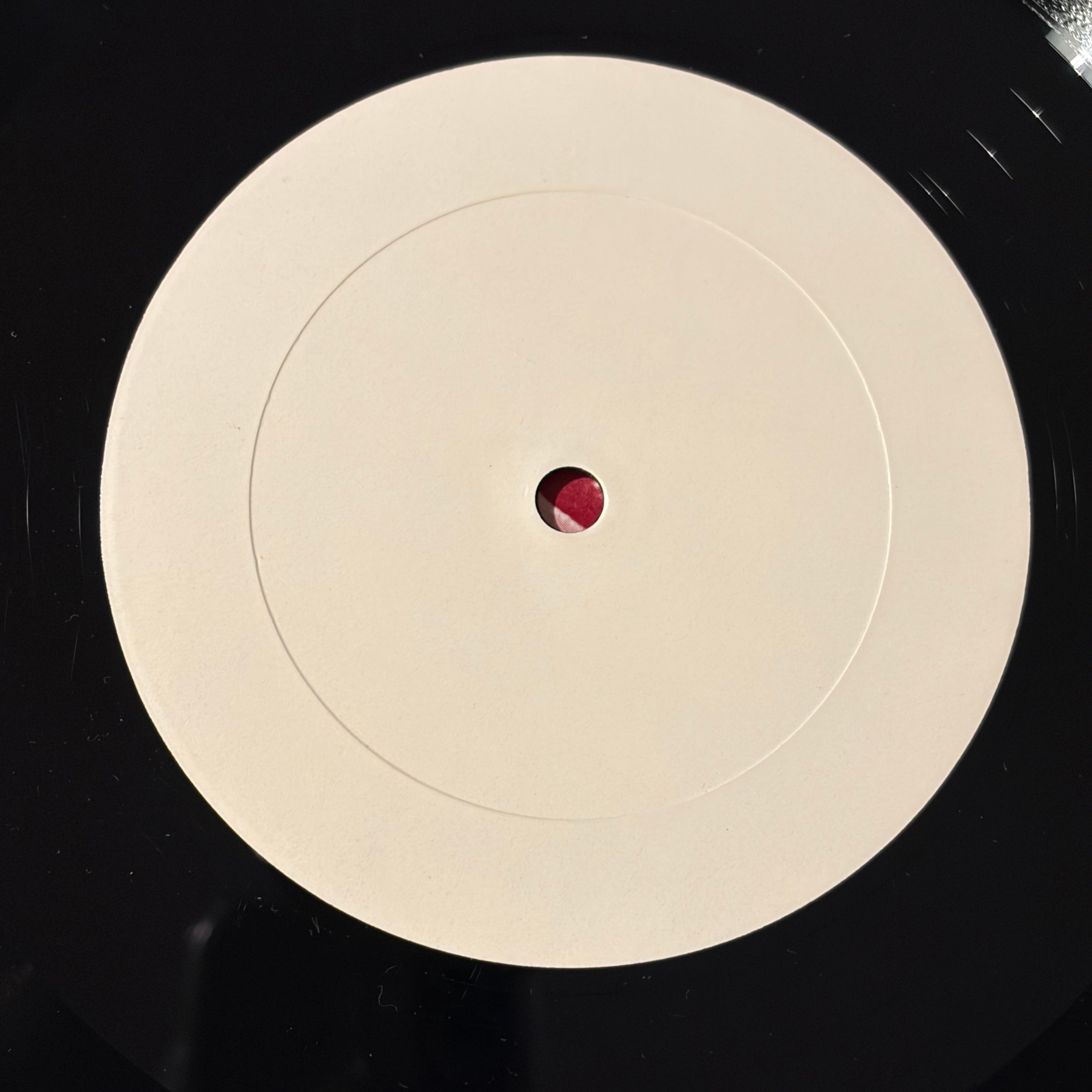 WHO, THE - NATURE OF THE BEAST - BOOTLEG - UNRELEASED DEMOS