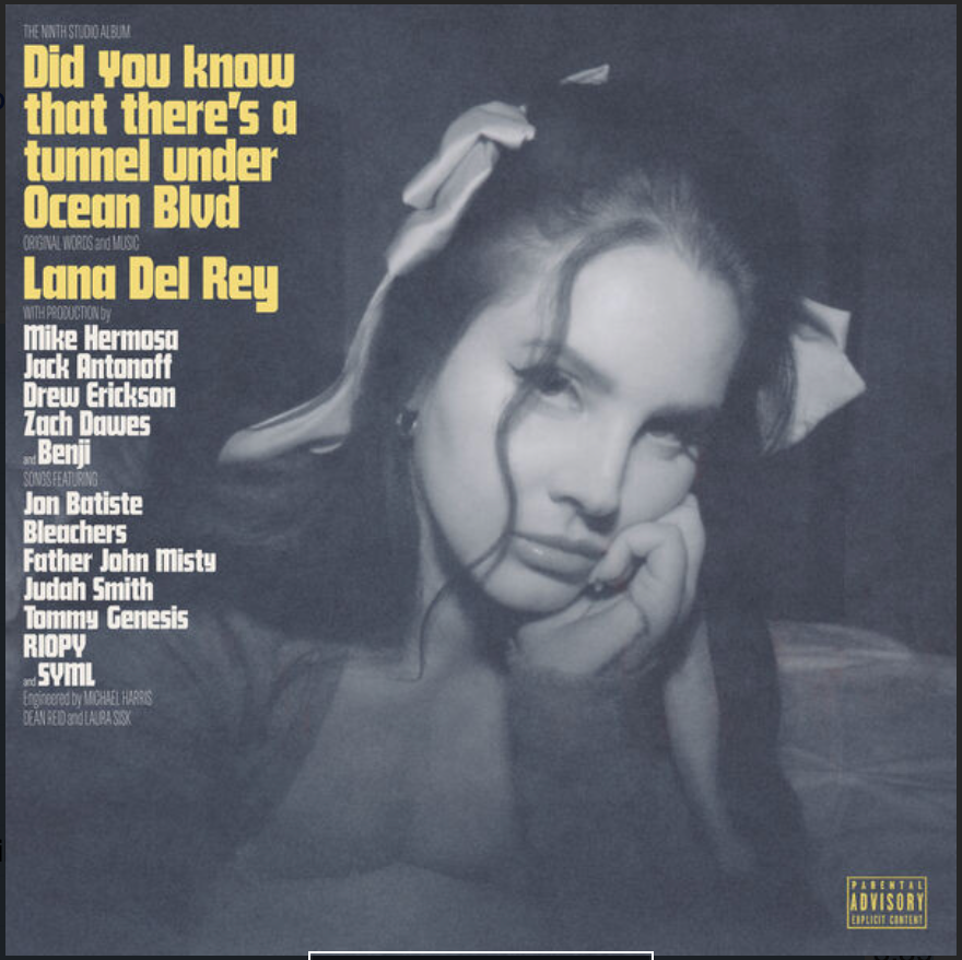 NEW VINYL LANA DEL REY