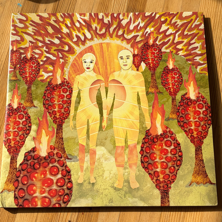 OF MONTREAL - THE SUNLANDIC TWINS
