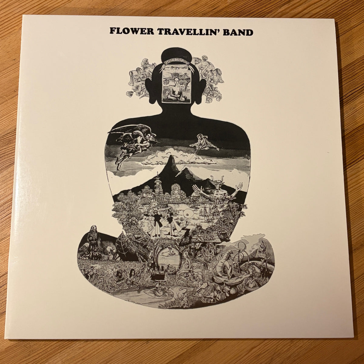 SATORI - FLOWER TRAVELLIN' BAND