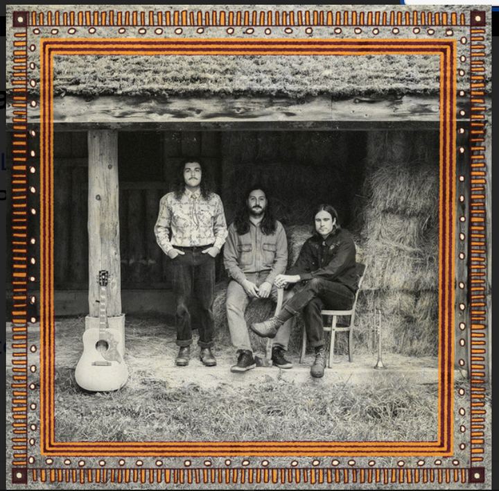 SURF HAT - SURF HAT RANCH VINYL 