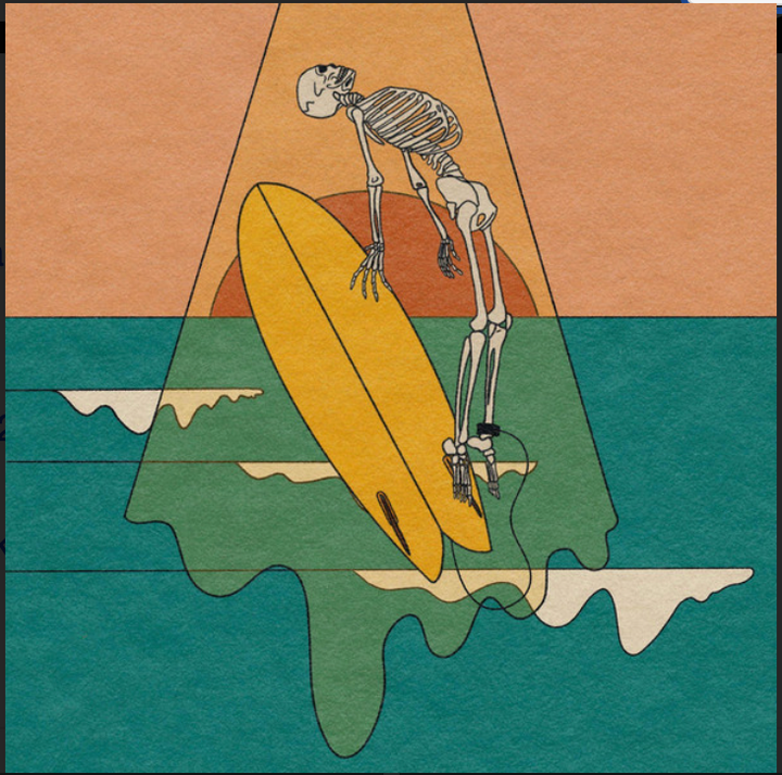 SURF HAT - S/T VINYL