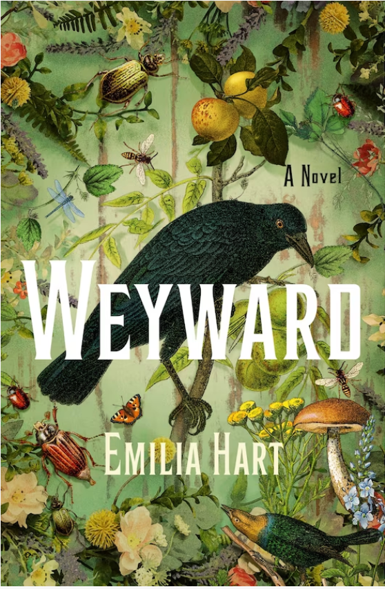 Weyward  By: Emilia Hart