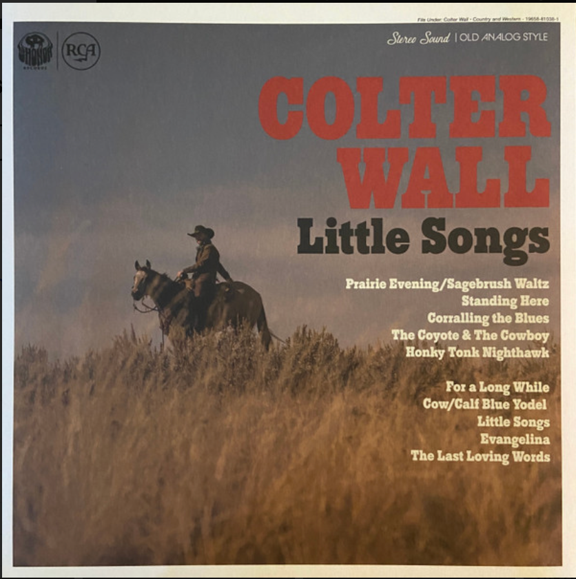 WALL, COLTER - LITTLE SONGS (Blue Vinyl)