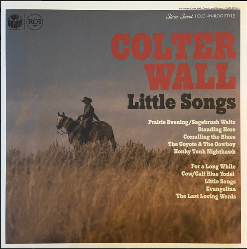 COLTER WALL - LITTLE SONGS (Blue Vinyl)