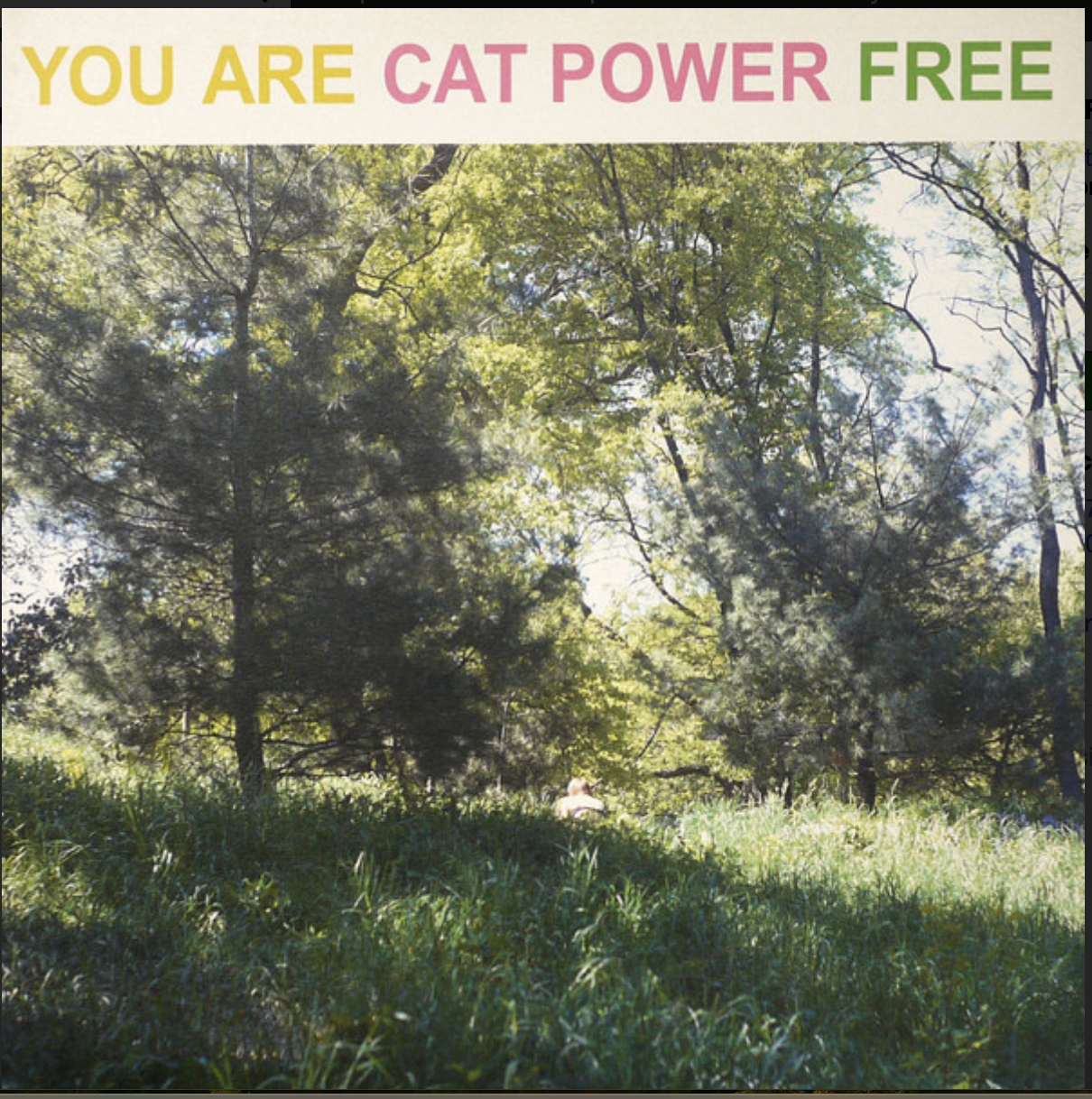 CAT POWER - YOU ARE FREE