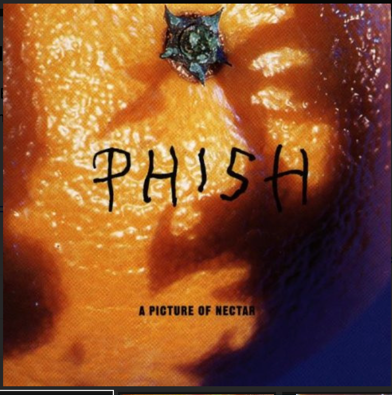 phish a picture of nectar on vinyl free shipping over 150. phish records online