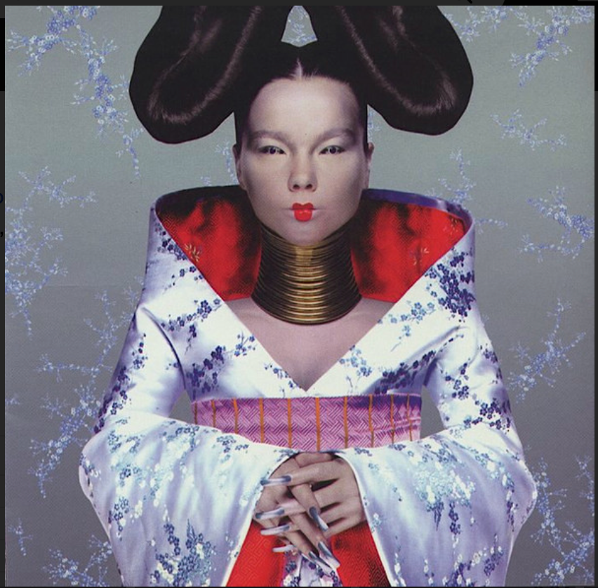 BJORK - HOMOGENIC