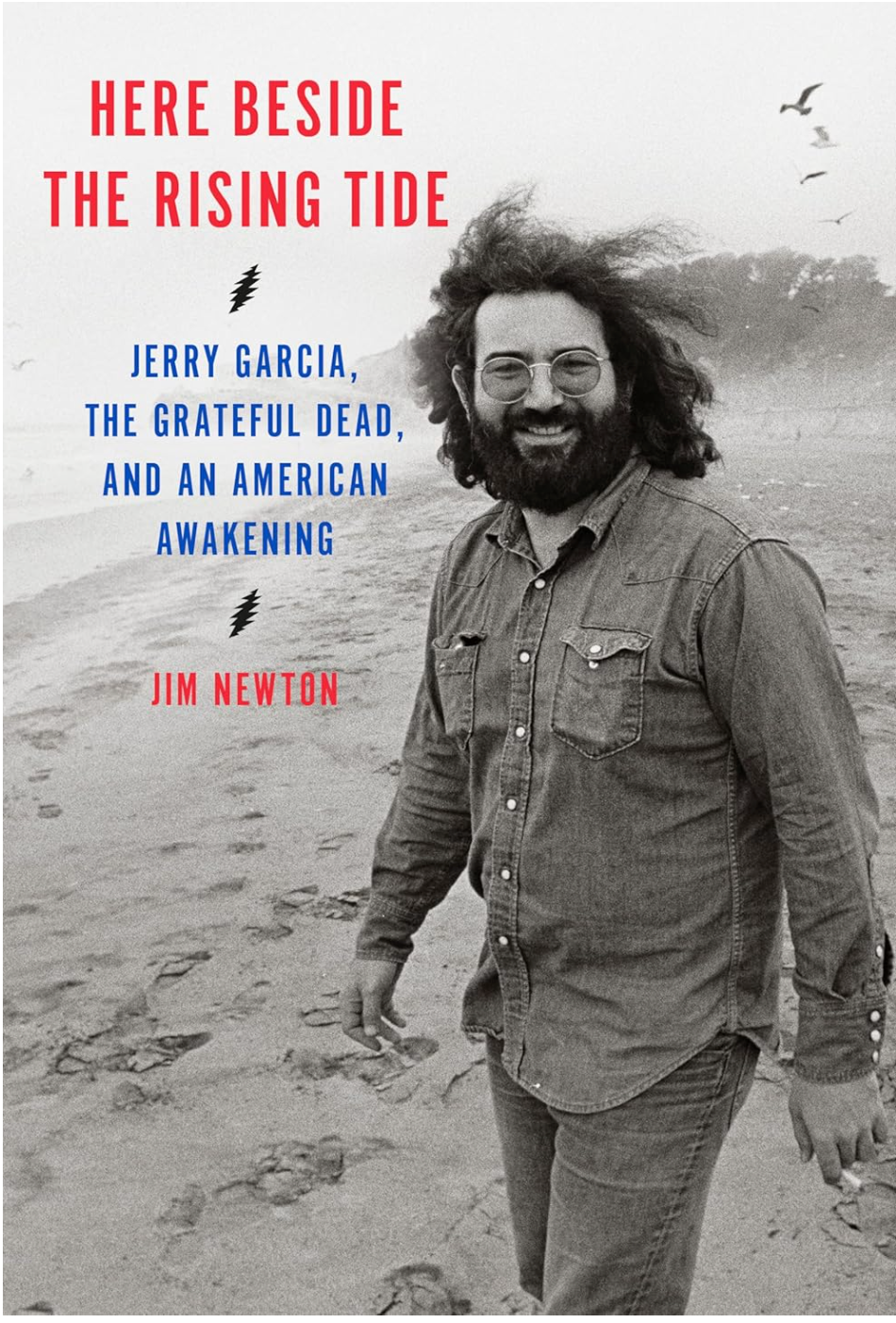 Here Beside The Rising Tide  By: Jim Newton