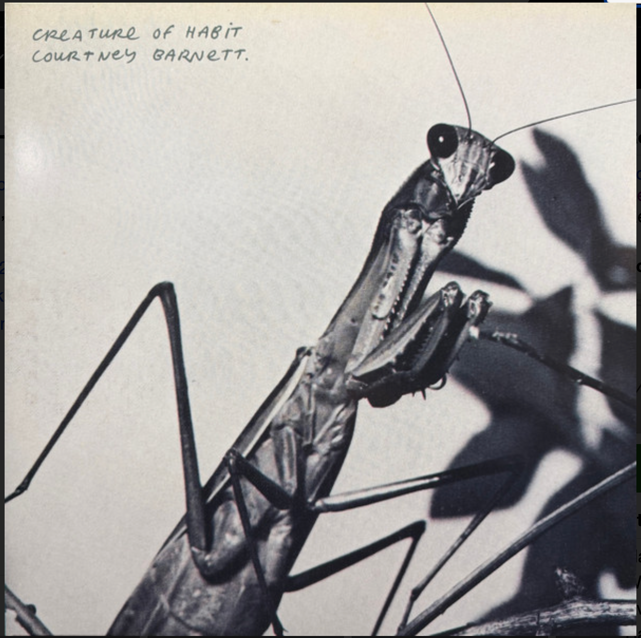 COURTNEY BARNETT - CREATURE OF HABIT (BLACK VINYL)