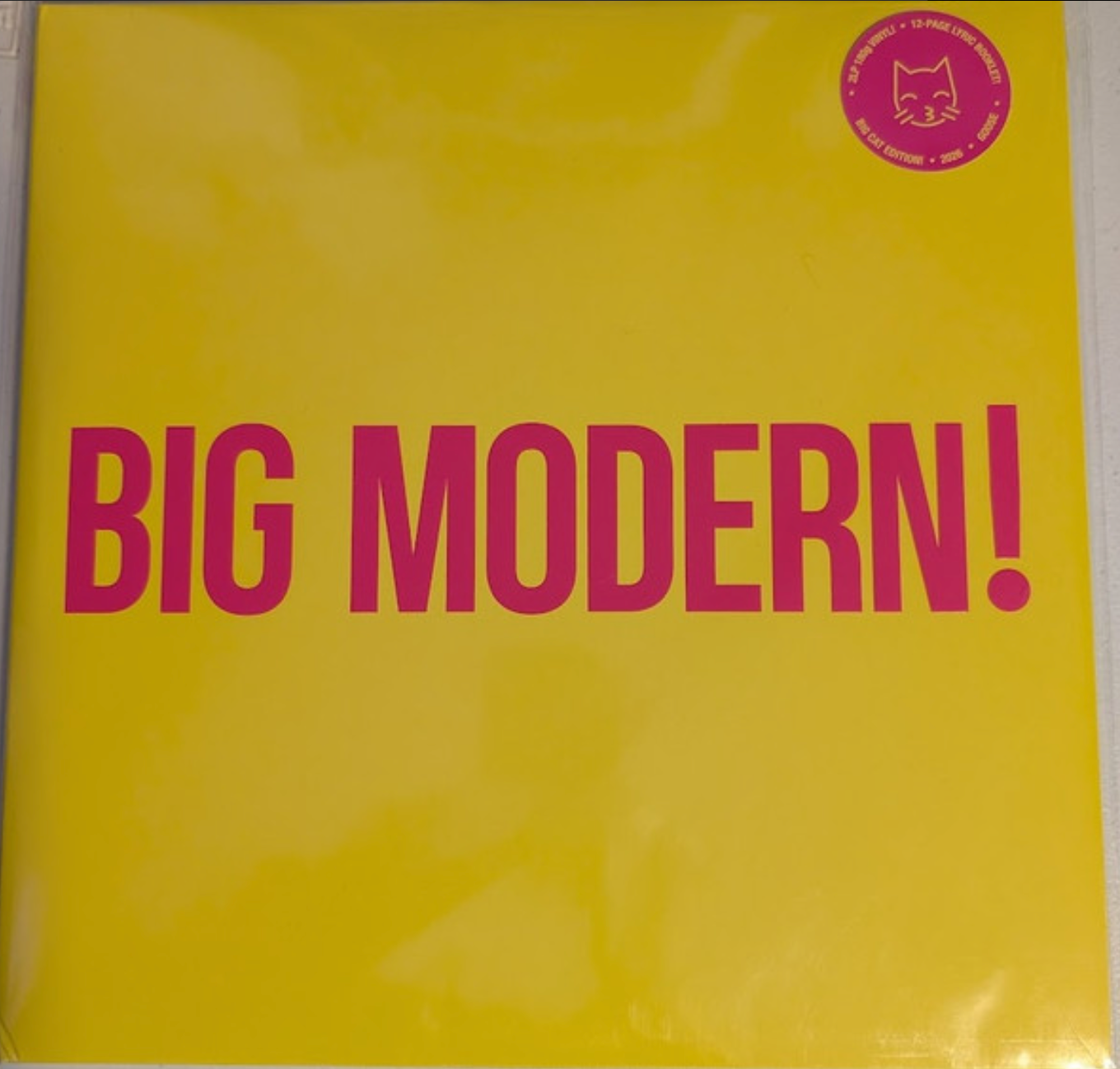 GOOSE - BIG MODERN! (BIG CAT)