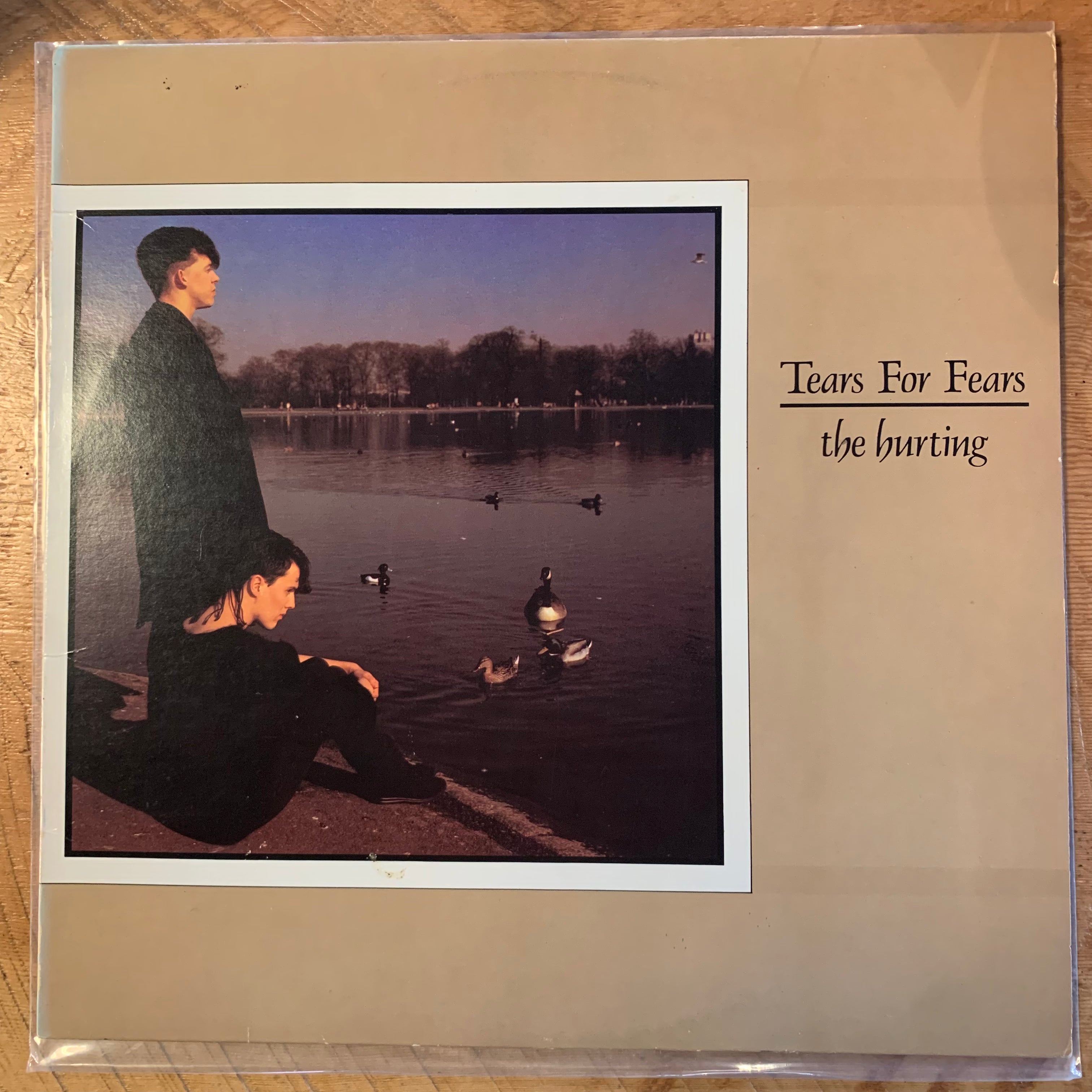 TEARS FOR FEARS - THE HURTING