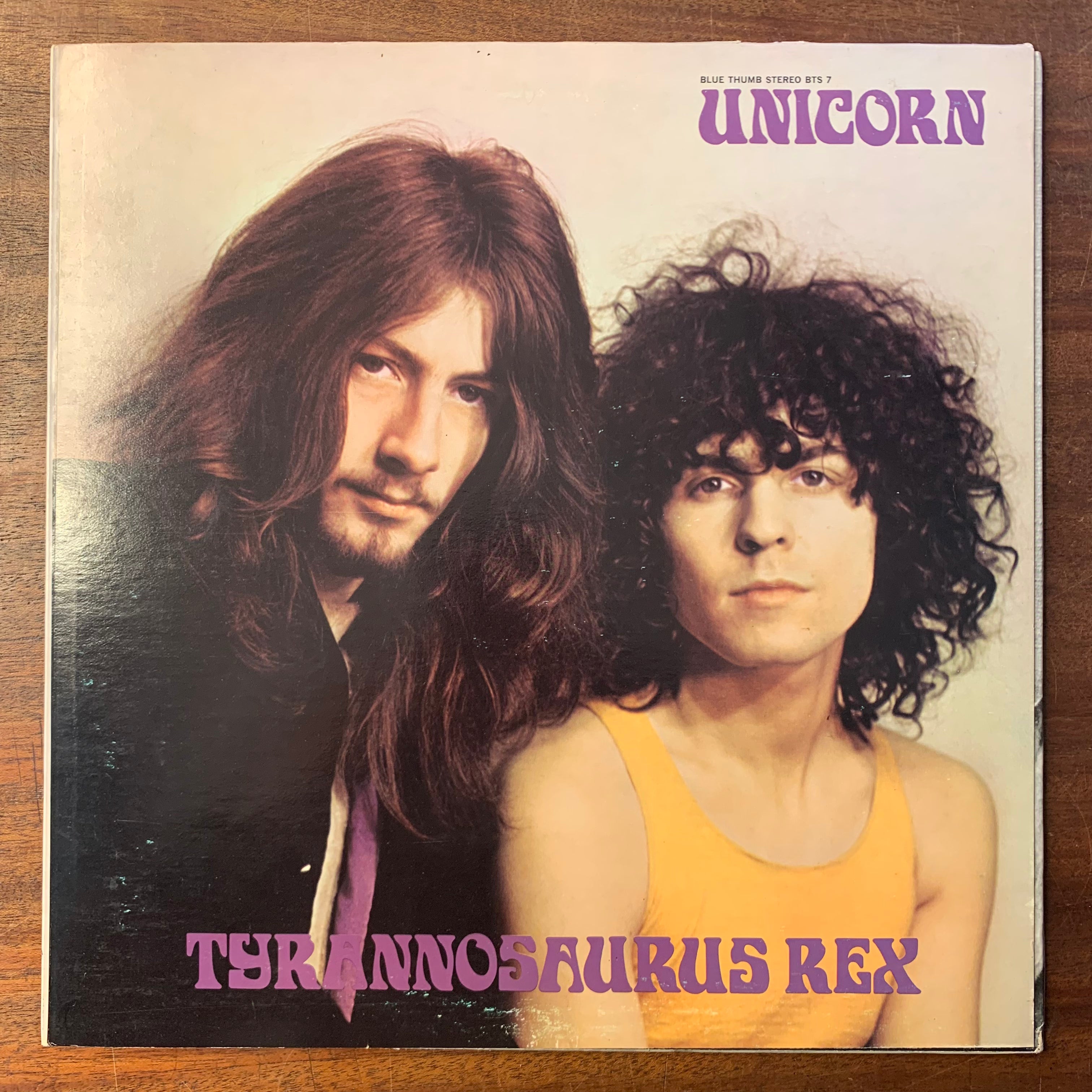 T REX - UNICORN
