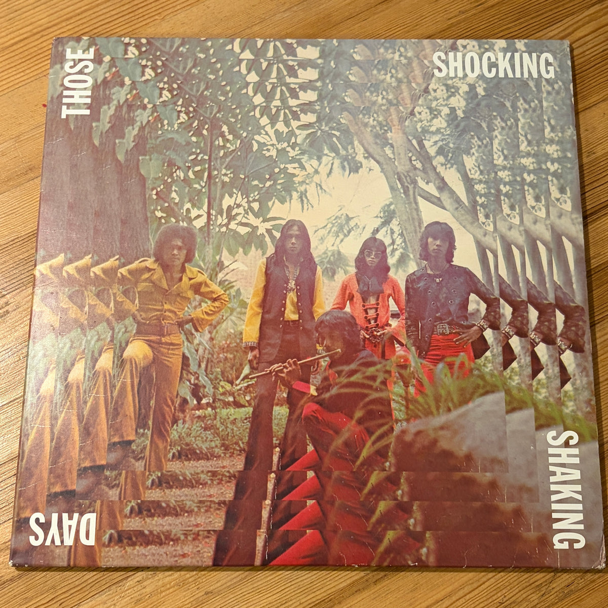 VARIOUS - THOSE SHOCKING SHAKING DAYS