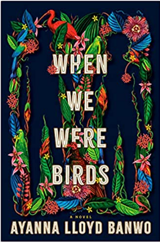 when we were birds novel. best books of 2024