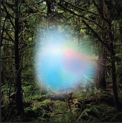 PHISH (TREY ANASTASIO) - GHOSTS OF THE FOREST - 2LP